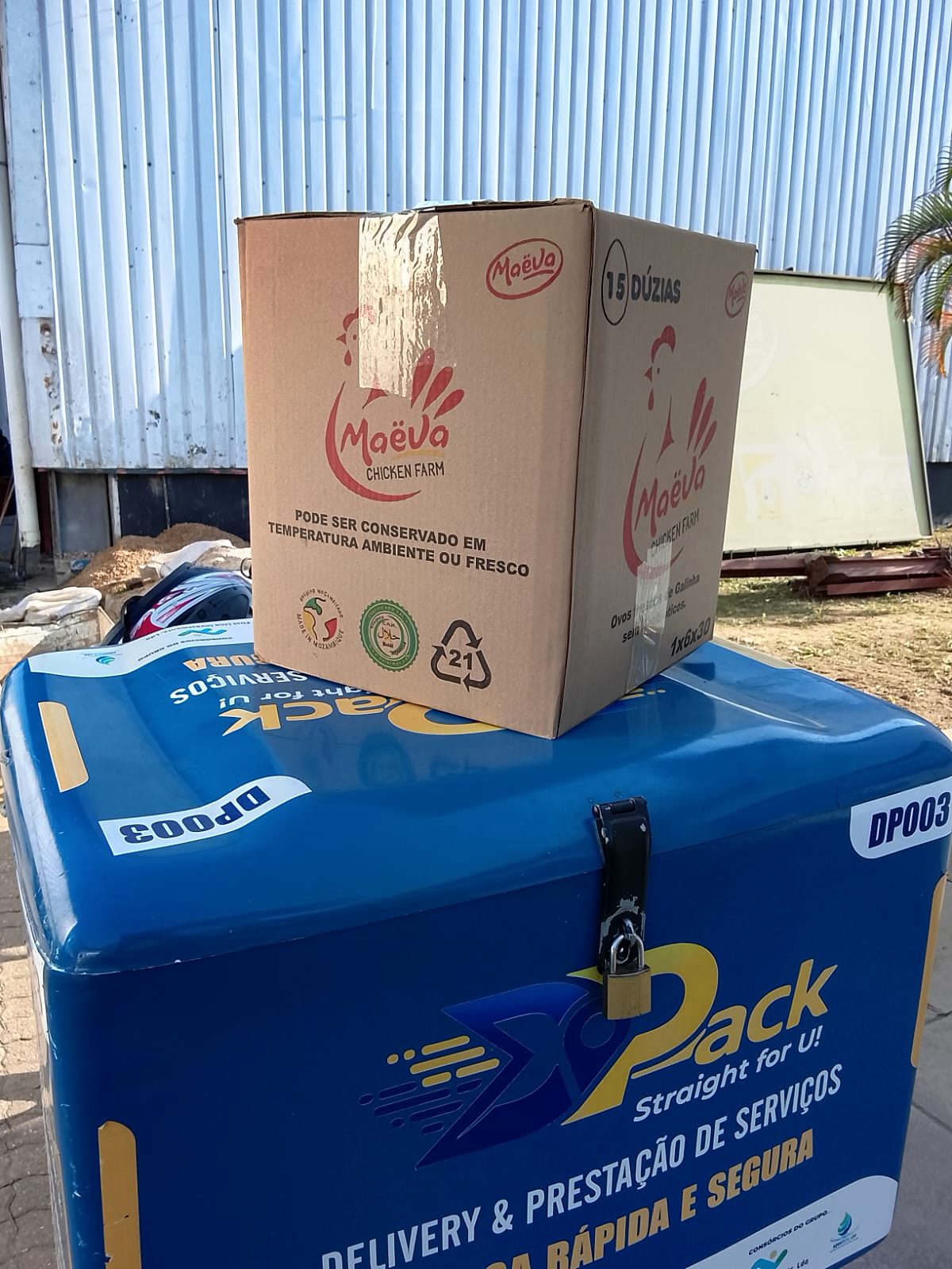 Caixa de ovos entregue pela DPack